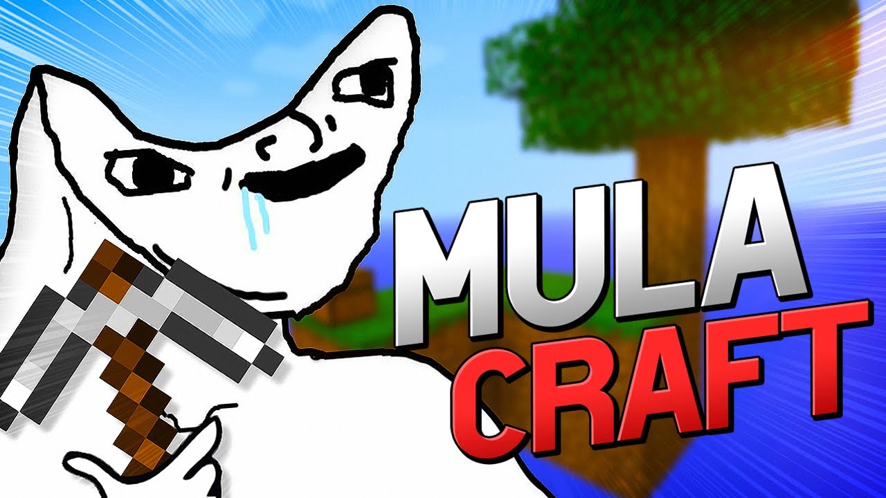 MEU AMIGO FICOU P* COMIGO NO SKYBLOCK
