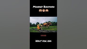 AI Monkey vlog video kaise banaye | Instagram viral ai monkey vlogs | #ai #monkey #monkeyvlog #viral