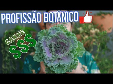 Vídeo: O que posso fazer como botânico?