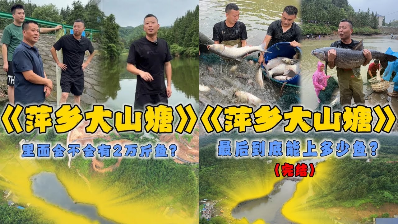 小飞哥花120000元包下30亩的大山塘，爆网后看看到底是赚还是亏？#户外抓鱼 #户外捕鱼 #小飞哥抓鱼 #乡村生活 #农村生活