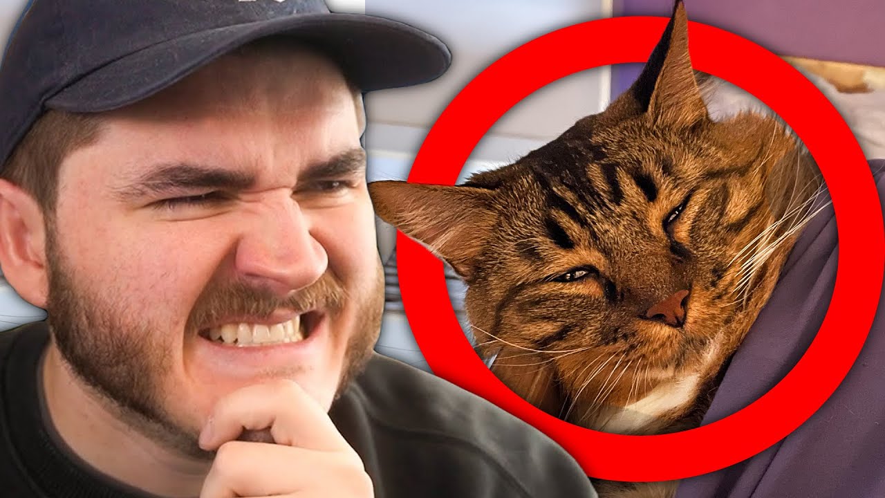 Schlatt Ranks EVERY SINGLE Bedroom EVER