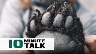 #10MinuteTalk - Finding Spring Bears with Ryan Lampers