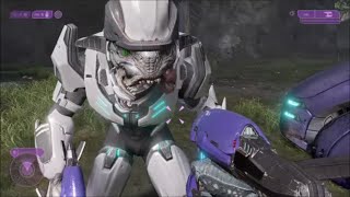 Halo 2  Can You Bring Shipmaster With You To Fight Tartarus?