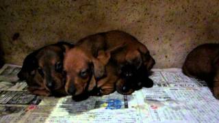 MVI_0707.AVI