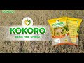 Bedah Hasil Panen Kokoro Inpari dengan Petani Kebumen