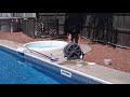 Doheny Hose Reel