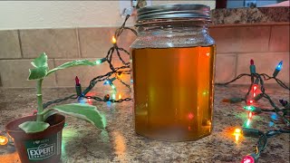 Ghee From Er दस घ Ektas Vlog