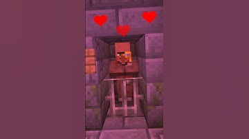 How To Cure A Zombie Villager For Discounts Minecraft