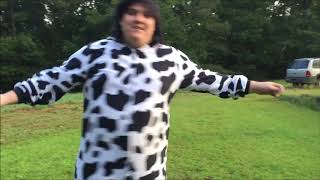 Aubrey Key - Cow