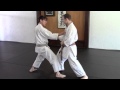 Karate Continuity of Movement 04