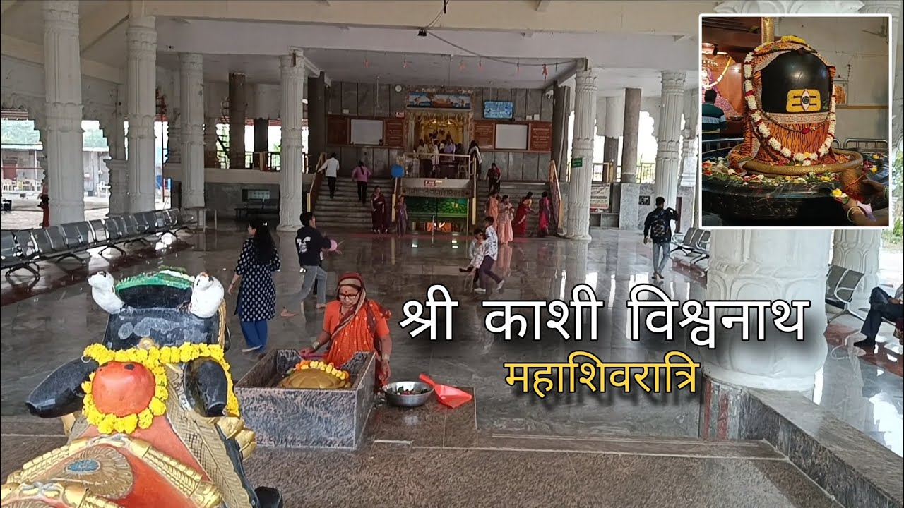 महाशिवरात्रि स्पेशल दर्शन: श्री काशी विश्वनाथ मंदिर भालगांव | Mahashivratri 2026 #Mahashivratri