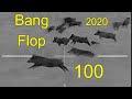 1st 100 Hog Bang Flops of 2020