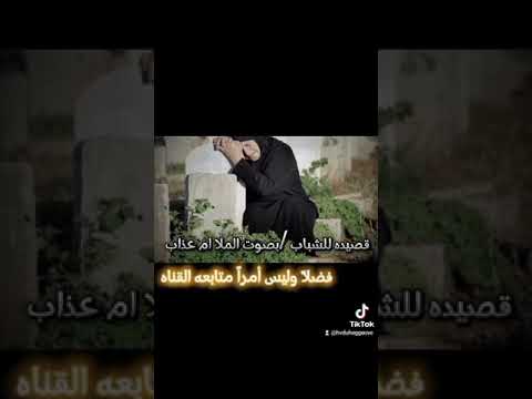 قصيده لو زين حلو لوحدد اللحيه بصوت الملا ام عذاب