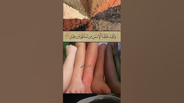 ولقد خلقنا إلا إنسان من سلاله من طين#ذکر_حدیث_شریف#قرآن #محمد_بشیر#اسلاميات#تلاوة#دروس_دينية#حكمة