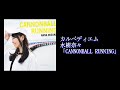 [Drum cover] カルペディエム - 水樹奈々 : sayu (Grollschwert)