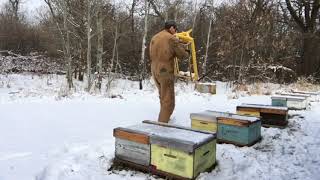 Loading hives with an Ezyloader- a Canadian Beekeeper’s Blog