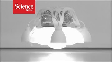 Soft robots powered by combustion