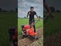 PREPARANDO A TERRA PARA 0 PLANTIO COM MOTOCULTIVADOR