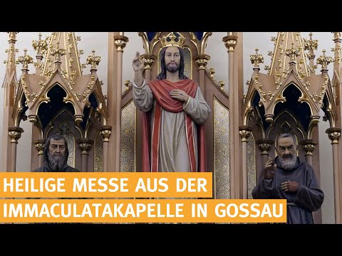 Video: Zählt das Anschauen der Messe im Fernsehen als Kirchenbesuch?