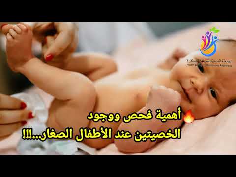 أهمية فحص ووجود الخصيتين عند الأطفال ولماذا هذا الموضوع وهذا الفحص م هم