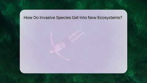 How Do Invasive Species Get Into New Ecosystems? - Ecosystem Essentials