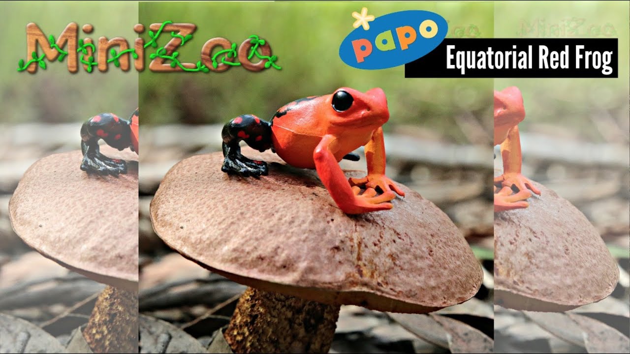 Papo Equatorial Frog Red