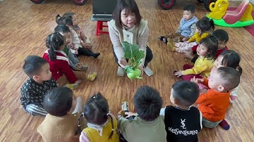 MTXQ: Tìm hiểu, nhận biết củ su hào - củ cà rốt