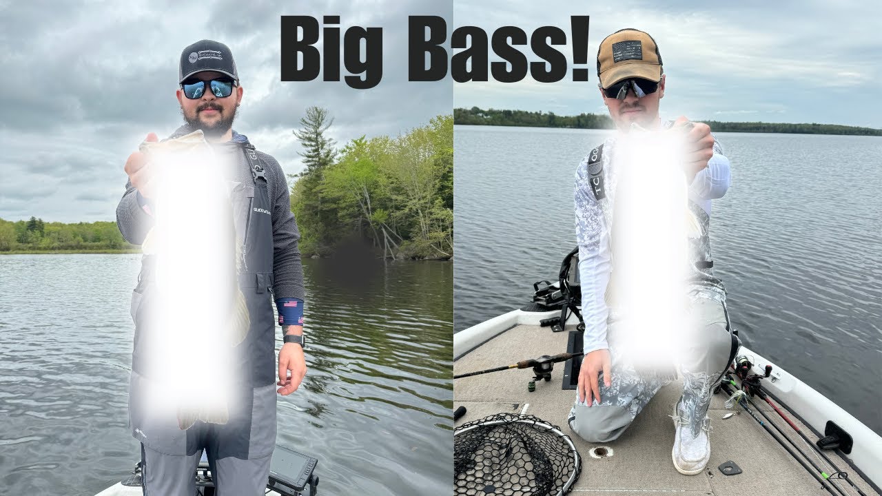 This small lake holds some BIG bass!