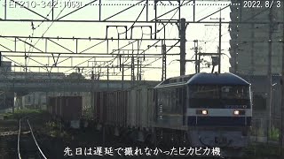 ピカピカEF210-342 夏の朝 (2022.8/3) 巛巛