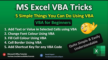 MS Excel VBA Easy Learning | The 5 Things You can Do with VBA | Excel Tutorial