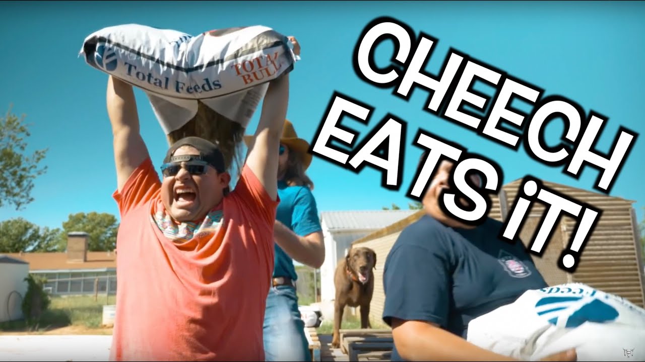 Pedro VS Cheech - Rodeo Time 133 cowboys schedule for 2019
