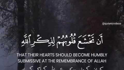 quranicvideos ﷽ سورة الحدید١٦ قاري "ممدوح عماد "