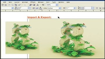 Import & Export || Getting Started With CorelDraw X3 || Learning CorelDraw X3 in English