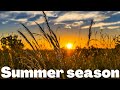 10 lines on summer season_summer season essay in English
