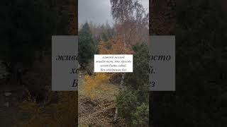 Маска и подлинность #самообман #искренность #бытьсобой #самопознание #внутренниймир #молчание