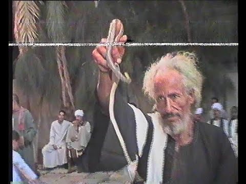 رجل يرقص بثعبان امام الريس عبد العال البنجاوى افراح آل الناظر بشوات ابودومه