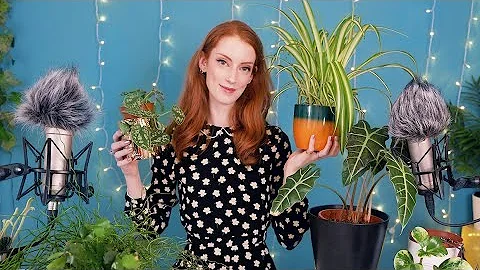 4 MORE Happy Houseplants | Show And Tell To Help You Relax🌱 Part 2