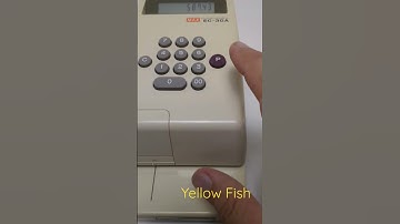 Electronic CheckWriter MAX EC-30A Vintage Bank Cash