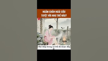 Ngâm chân Ngải cứu tốt như thế nào?