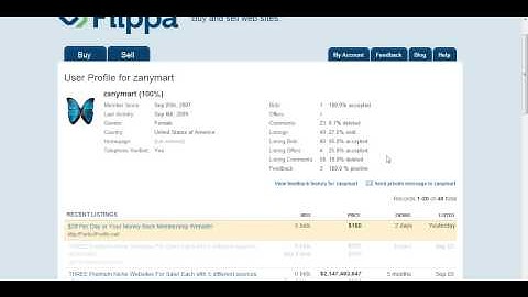 Webmaster tips: buying websites on flippa