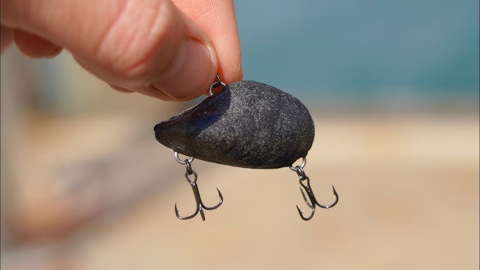 Natural Fish Lure  Lampsilis Mussel and Bass 