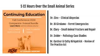 Online CE courses from Fall Conference News