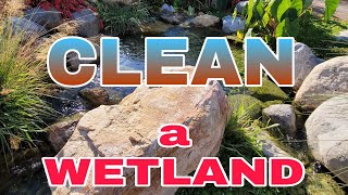 Pro Tip | How to CLEAN a Recreational Swim Pond WETLAND FILTER  Fast and Easy