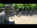 Caiden Teaches Us How to BMX