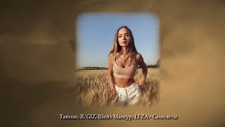 Тайпан, Il’giz, Шейх Мансур, Li Za - Самолёты