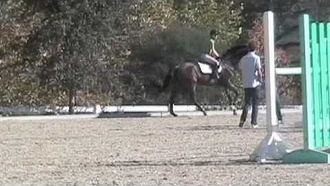 Meredith Michaels-Beerbaum Clinic, Part I (Warm-up)