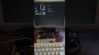 CRISS CP/M DIY Personal Computer (Color Version) - Game "Color Lines" aka "Balls 5 Per Line" screenshot 4