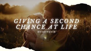 Why Adopting a Rescue Dog Will Change Your Life Forever by Dogxytocin 156 views 1 year ago 4 minutes, 6 seconds