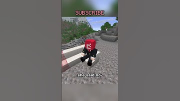 the next Minecraft update is...