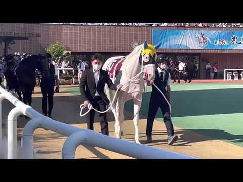 【札幌記念2022】全頭パドック